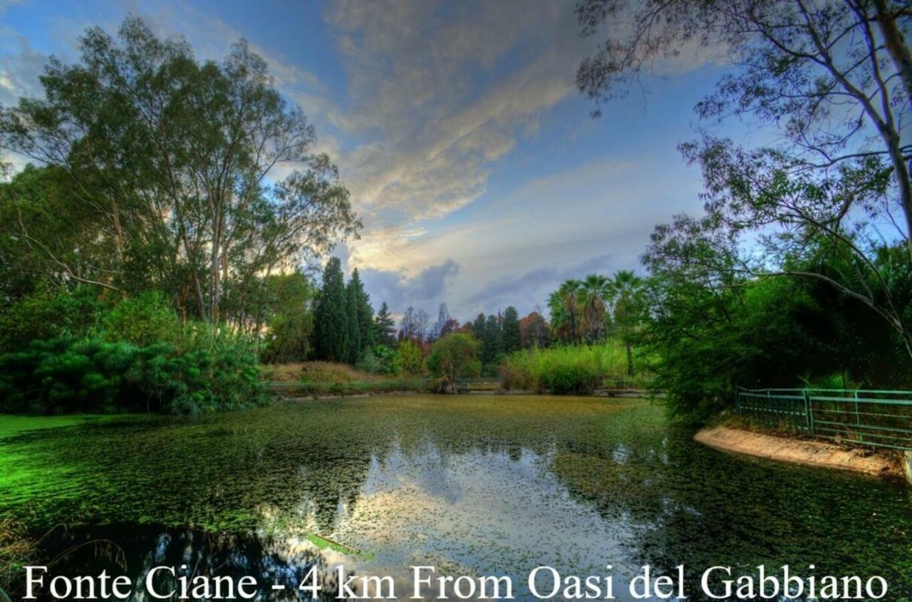 Oasi Del Gabbiano Bed & Breakfast Syracuse Exterior photo